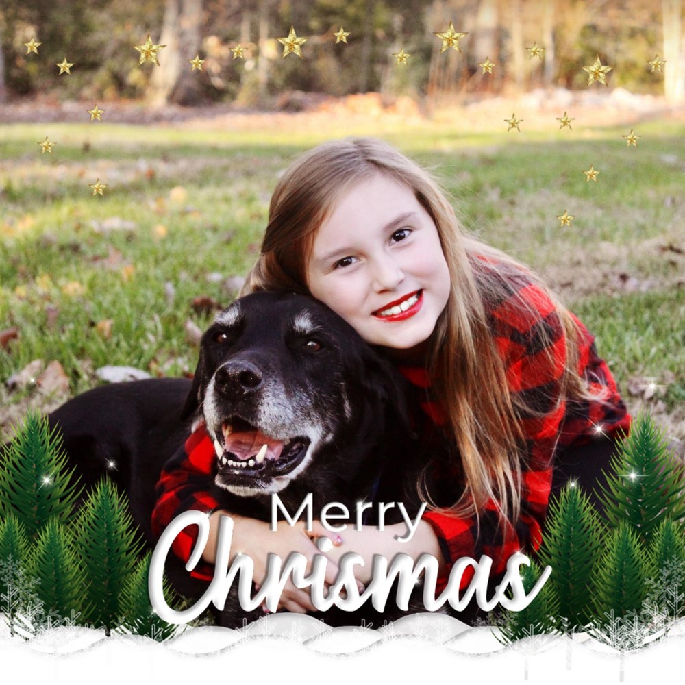 Meet your Posher, Dawn